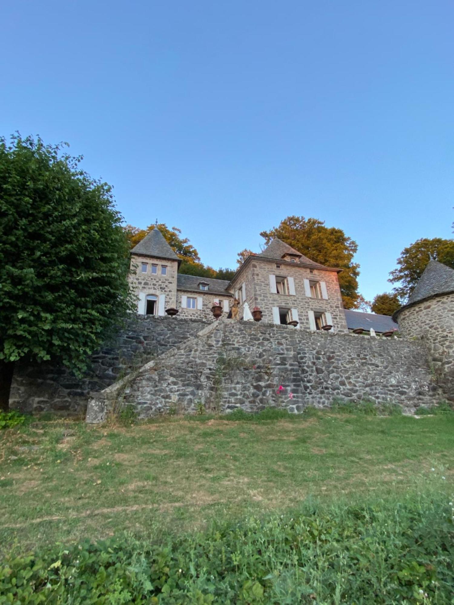 Chateau Du Puech Curieres Экстерьер фото