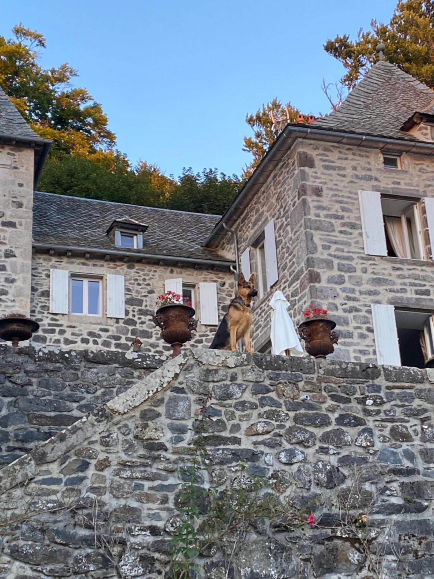 Chateau Du Puech Curieres Экстерьер фото