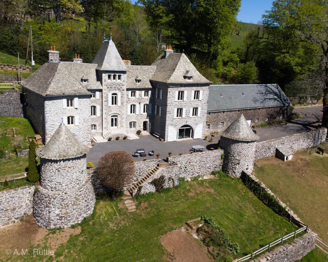 Chateau Du Puech Curieres Экстерьер фото